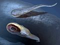 普利司鰻（英語：Priscomyzon） Priscomyzon，已知化石年代最早的圓口綱兼七鰓鰻目物種，可怖的吸血者
