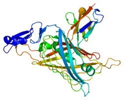 Protein HSPG2 PDB 1gl4.png