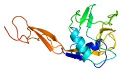 Protein SELE PDB 1esl.png