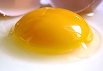 An egg yolk surrounded by the egg white.