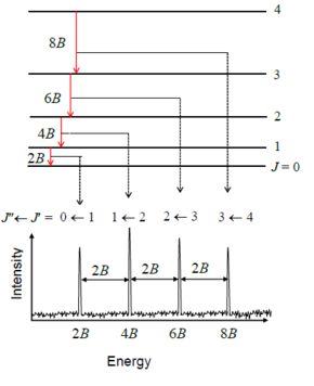 Idealised example of the rotational spectrum (bottom) produced by transitions between different rotational energy levels (top) of a simple linear molecule.
B
{\displaystyle B}
is the rotational constant of the molecule,
J
{\displaystyle J}
is the rotational quantum number,
J
'
{\displaystyle J'}
is the upper level and
J
''
{\displaystyle J''}
is the lower level. Rotational spectrum example.png