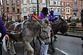Ezels in de optocht van het Schaarbeekse carnaval (2014)