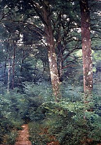 Sotobosque (1891)