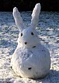 Snowous Rabbitous (Snow rabbit)