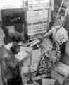 Sorting goods confiscated from Jews from the regions in Prague