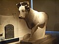 Statue du taureau Apis provenant d'une chapelle du Sérapéum de Saqqarah