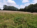 A hill in Stokes Field