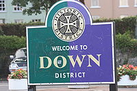 down district council