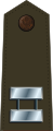Insigne de grade d'un capitaine de l'U.S. Army