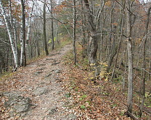 English: Hiking trail to Chimney Rock in White...