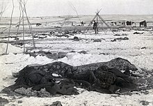 Big Foot's camp three weeks after Wounded Knee Massacre; with bodies of four Lakota Sioux wrapped in blankets in the foreground Wounded Knee aftermath5.jpg