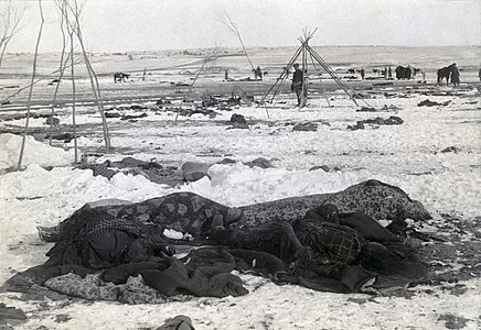 Aftermath of the Wounded Knee Massacre, January 1891