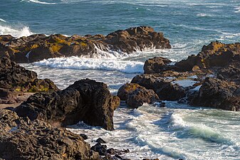 Rocky shoreline at Yachats SRA.