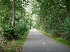 Malden, Streckenabschnitt über den Witteweg