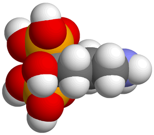 space-filling structure of alendronic acid, ba...