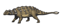 Miniatura para Ankylosaurus magniventris