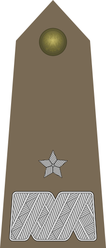 Sličica za Brigadni general (Poljska)