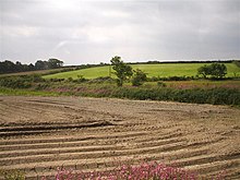 Farmland at Ashton, Breage Ashton, Cornwall - geograph.org.uk - 462972.jpg