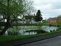 Baxterley Village Pub - geograph.org.uk - 7830.jpg