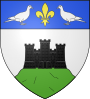 Blason ville fr Castillon (65). 
 svg