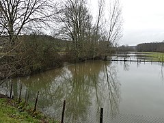 En crue en février 2021 au niveau de la RD 939, au lieu-dit la Forge, ZNIEFF du Boulou aval.