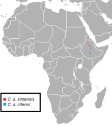 Canis simensis subspecies range.png