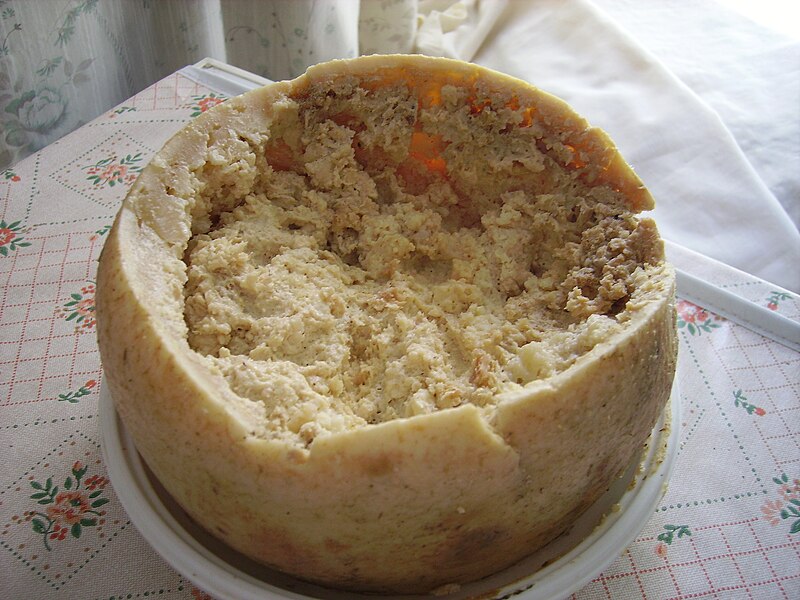 Casu Marzu, a type of cheese