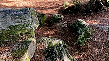 Dolmen des Rossignols