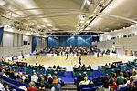 Miniatura para Sheffield Sharks