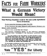 Affiche appelant les citoyens australiens à approuver l'introduction par référendum de la conscription.