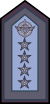 Fuerza Aerea Argentina - Brigadier General.svg