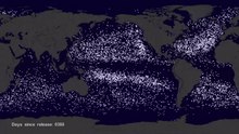 Plik:Garbage Patch Visualization Experiment.webm