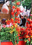 浅草寺のほおずき市