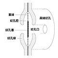 2019年6月9日 (日) 04:39版本的缩略图