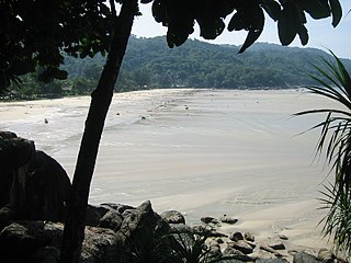 Récession maximale des eaux du tsunami sur la plage de Kata Noi, Phuket, en Thaïlande, avant la 3e et plus forte des vagues