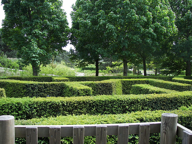 File:Keukenhof maze 3.jpg