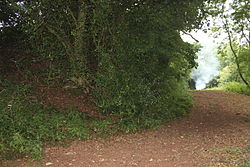 King's Castle Hillfort earthwork.JPG