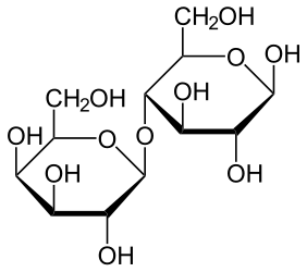 de: Struktur von Lactose en: Structure of Lactose