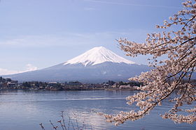 alt=河口湖の桜と富士山