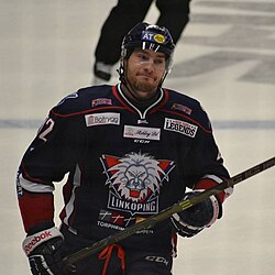 Mattias Sjögren 2014.jpg
