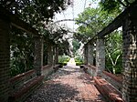 New Orleans Botanical Garden Walkway.jpg