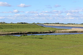 Blick zur Eider im NSG „Oldensworter Vorland“