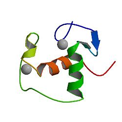 Steroid hormone and receptor