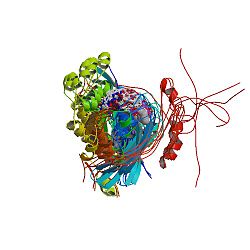 Wiskott-Aldrich-Syndrom-Protein