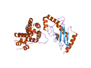 2grr: Crystal Structure of human RanGAP1-Ubc9-D127S