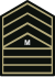 PHIL ARMY MSG WOODLAND.svg