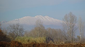 Rangée d'arbres dénudés et en arrière-plan, crête de montagne enneigée