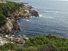 View from the north east showing north entry and Seal Rocks on the far side of the cove.