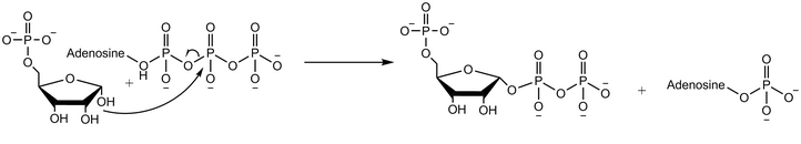 SN2反応による二リン酸転移反応