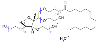 Struktur von Polysorbat 40 w + x + y + z = 16